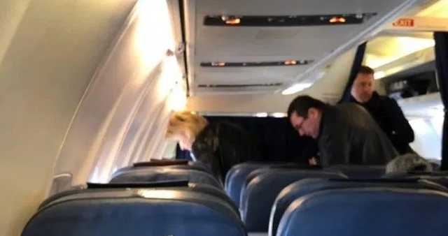 В Одессу инкогнито приезжал Генпрокурор Юрий Луценко