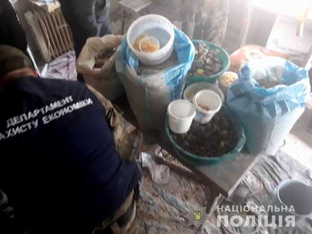 В Ровенской области полиция изъяла около 100 кг контрабандного янтаря