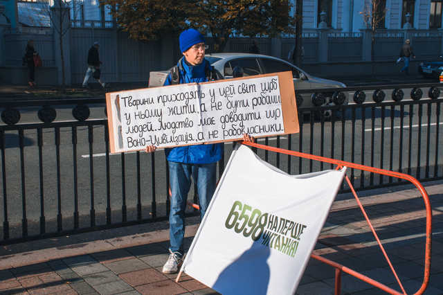 В Киеве прошел митинг против безнаказанности живодеров
