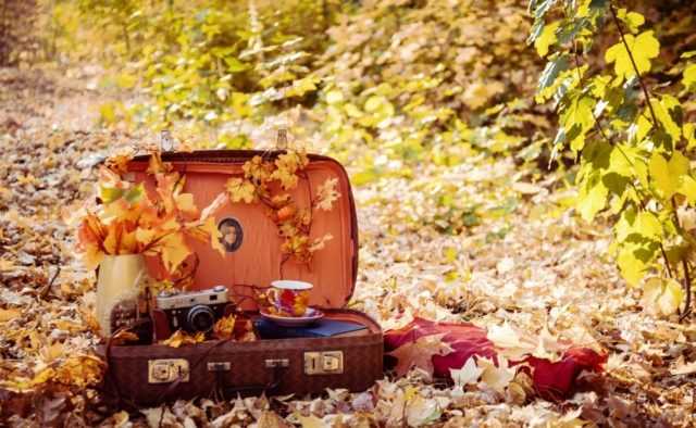 В Киеве установлен новый температурный рекорд