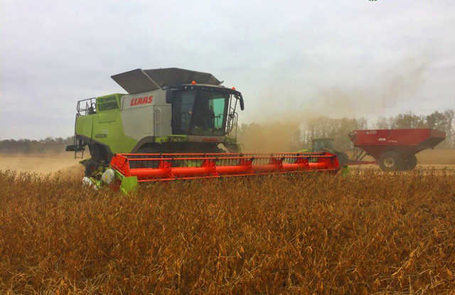«Росток-Холдинг" бьет тревогу: сбор урожая под угрозой срыва через атаку рейдеров