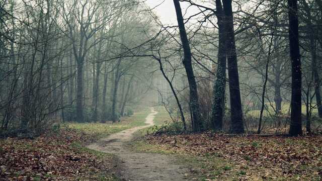 Погода в Украине будет резко меняться: синоптики дали прогноз на ближайшие дни