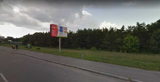 Просверлили и залили ядом: в Киеве застройщики уничтожили сотни деревьев