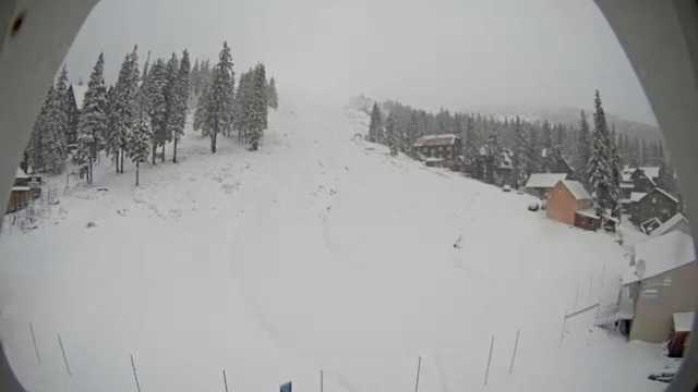 Карпаты засыпало снегом