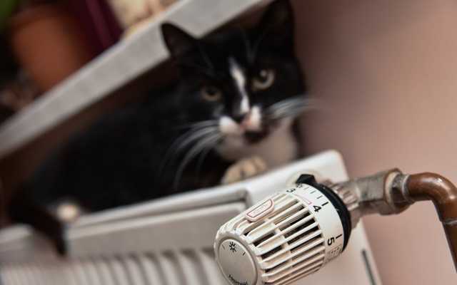 «Нафтогазу» разрешили отключать украинцам тепло за долги