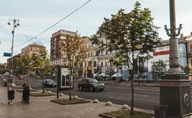 В Киеве высадят деревьев на 4,3 миллионов гривен