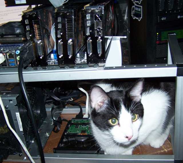 Украинцев предупредили о «черных» майнерах