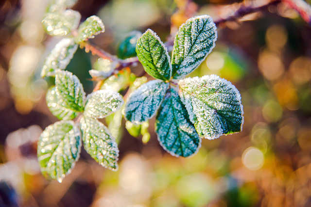 Сегодня в Украине температура опустится до -3°C
