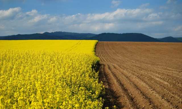 У Гройсмана спешат снять запрет на распродажу земель