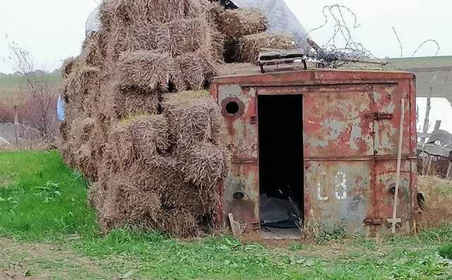 Овечки, спасенные под Одессой, обзавелись крышей над головой