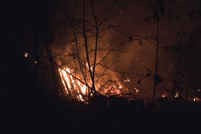 В Голосеевском районе Киева бомжи устроили пожар