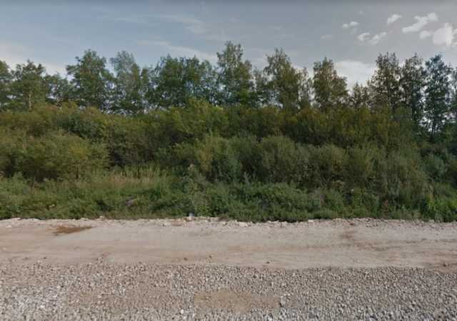 Голова лежала на трассе: стало известно о жутком инциденте под Николаевом