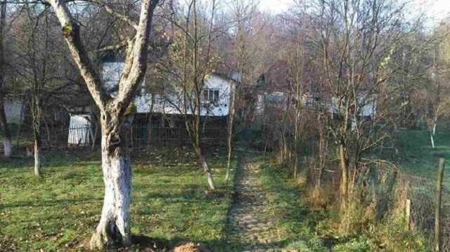 На Закарпатье женщина убила мужа поленом