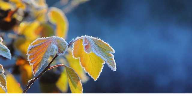 На Украину надвигается снежный шторм