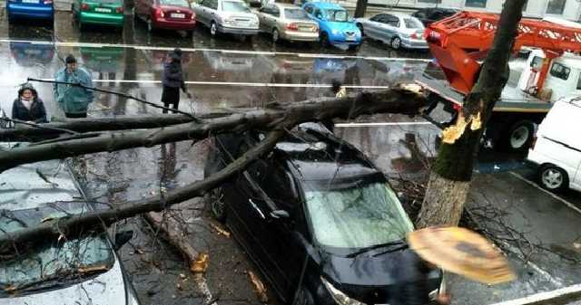 Непогода в Одессе: ветер валил деревья, а дождь заливал улицы