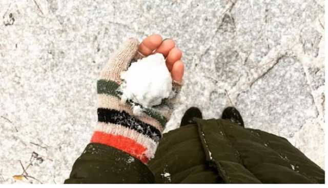 Сильные снегопады: в Украине резко ухудшится погода