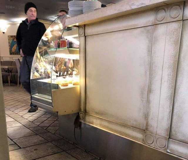 ’’Это нашествие!’’ В Киеве в известной пекарне посетители нашли повешенную крысу