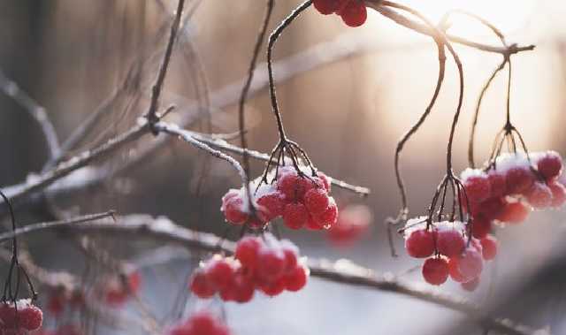 В начале недели украинцев ждет потепление