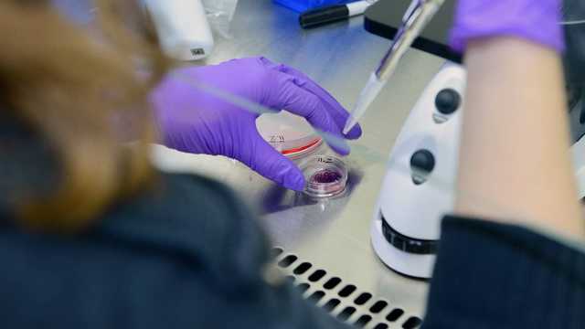 Супрун рассказала, как предотвратить самый распространенный вид рака у женщин