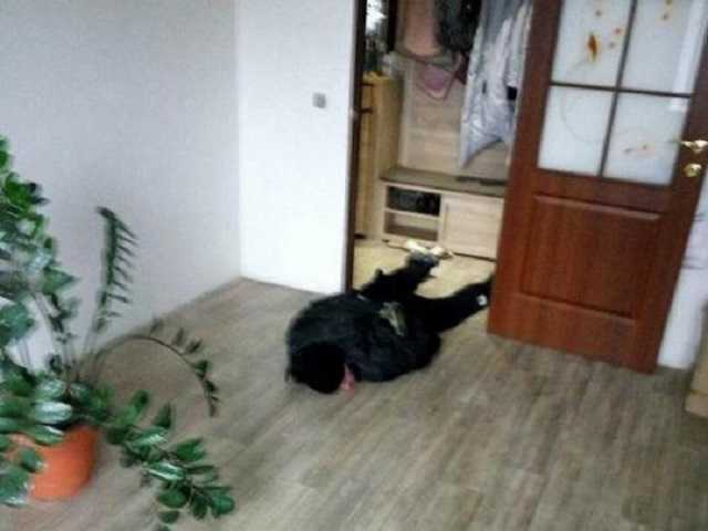 Под Киевом наглый вор дважды грабил одну и ту же квартиру