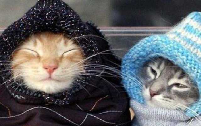 Надвигается холод: синоптики предупредили о смене погоды в Украине