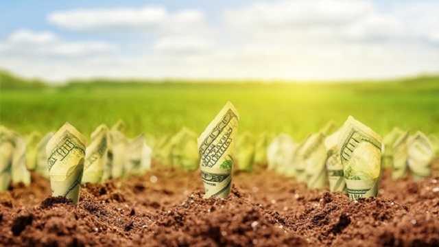 Парубий уточнил, когда Рада продлит мораторий на продажу земли