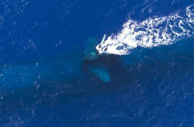 Стало известно, когда в распоряжение ВМС Украины поступят подводные лодки