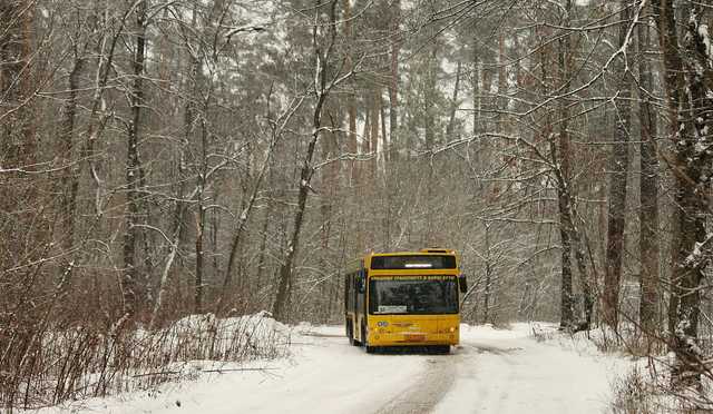 У соцмережах показали фото кишенькових злодіїв, які орудують в київських автобусах