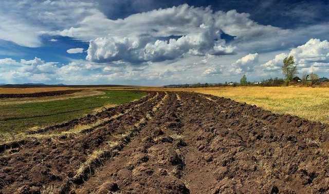 Академия аграрных наук незаконно передала землю СБУшному начальству