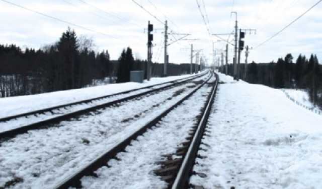 Под Харьковом поезд задавил человека