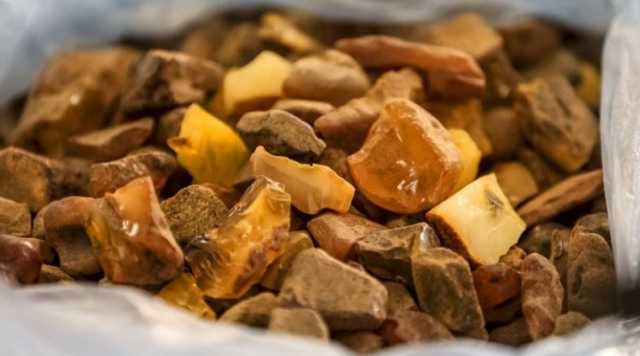 На Рівненщині екс-начальника поліції виправдали від «кришування» бурштинокопачів