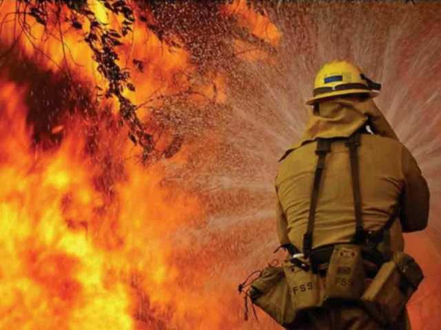 Во Львовской области горит завод по производству растительного масла