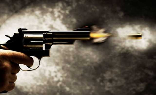 Гриценко обещает легализовать оружие