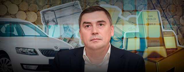 Сотни тысяч наличными и сценарий телепередачи: обнародована декларация кандидата в президенты Добродомова