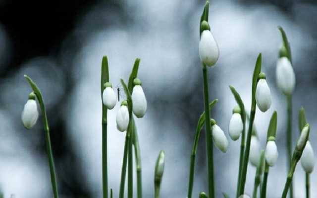 Дыхание весны: синоптики уточнили теплый прогноз по Украине