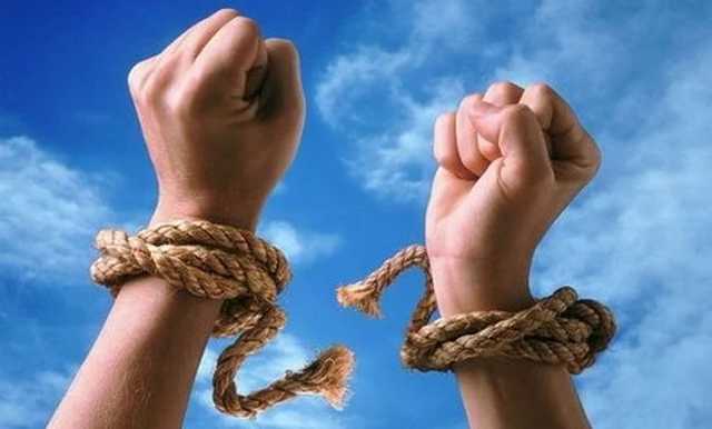   " " , -   Freedom House