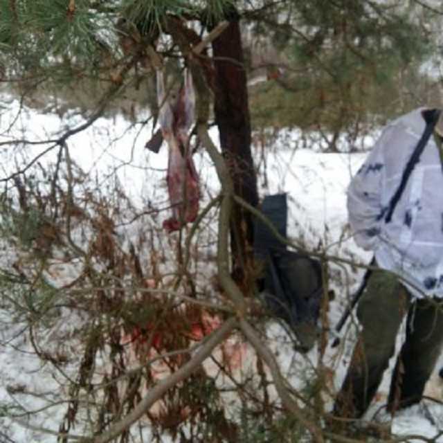 На Чернігівщині на "гарячому" спіймали браконьєрів: знімали шкуру з кози