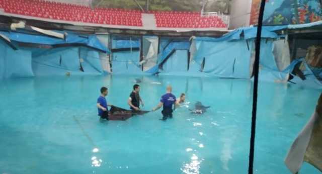 Мощная волна снесла все: в Крыму произошло новое бедствие