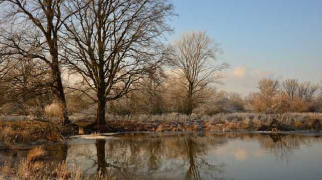 В Украине потеплеет до +7: синоптики порадовали прогнозом погоды