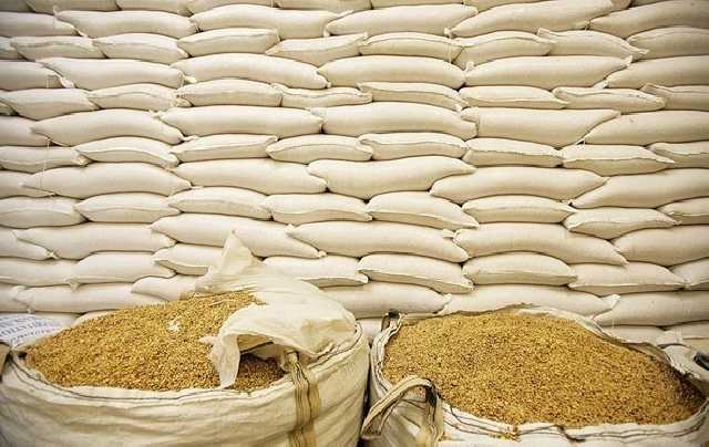 Украина рекордно заработала на экспорте зерна