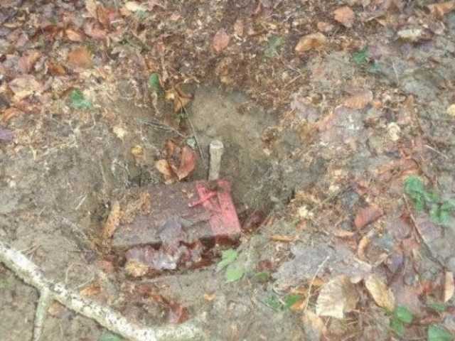 Под Львовом в лесу нашли 50 килограммов ртути