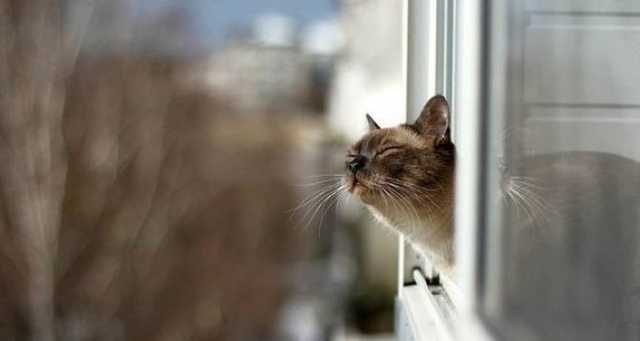 Синоптик дала прогноз на всю весну в Украине