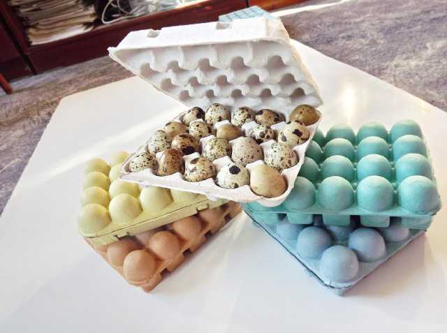 “Любимая” фирма Дарницкой РГА покормит броварских детей “золотыми” яйцами