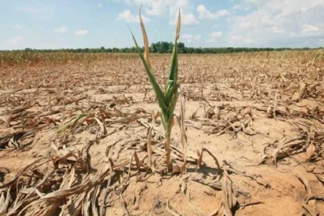 Крым без воды: оккупантам предрекли серьезные проблемы
