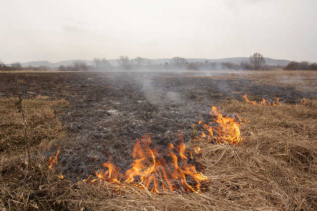 У Львові оголосили винагороду за ловлю паліїв сухої трави