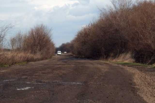 Остались лишь череп и кость: под Одессой нашли обглоданный труп парня