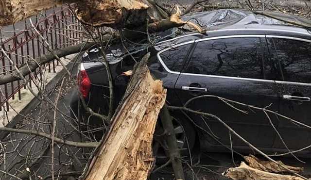 На Украину обрушился страшный ураган: погиб ребенок, много разрушений