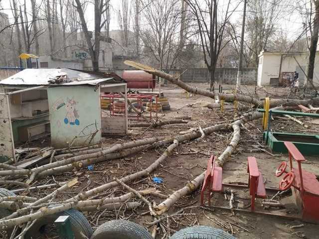 В Одессе дерево упало на детскую площадку: мужчина спас двоих детей ценой переломов
