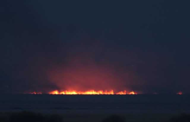 Появилось видео пожара, который бушевал в национальном природном парке под Одессой