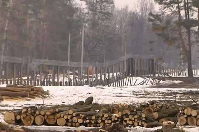 Вокруг скандального полигона в Ичне военные массово вырубают лес